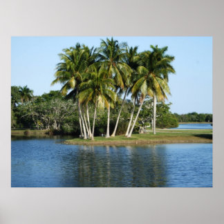 Poster Jardins Botânicos Tropicais Fairchild