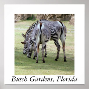 Poster Jardins de Busch, Florida