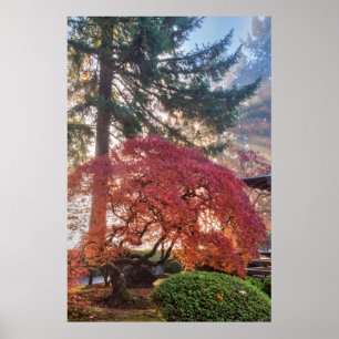 Pôster Jardins Japoneses No Outono De Portland, Oregon 6