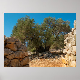 Poster Jardins Olivais de Lun