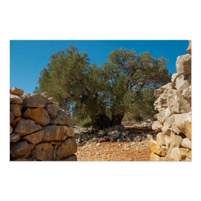 Pôster Jardins Olivais de Lun (Frente)