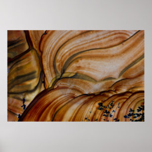 Poster Jasper Deschutes de cor castanha