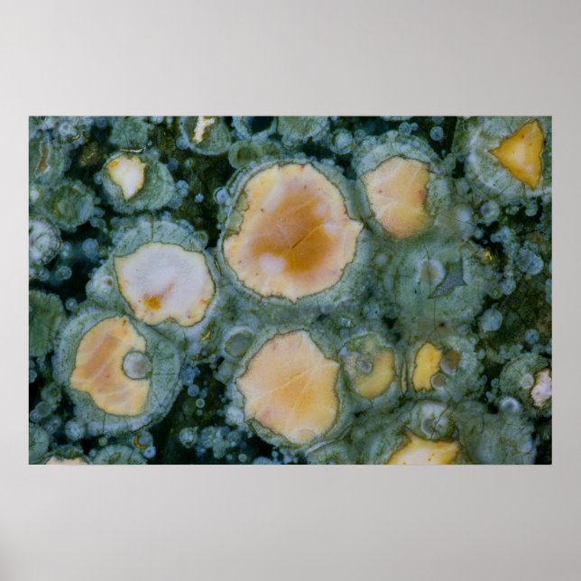 Poster Jasper Oceano Manchado (Frente)