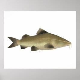 Poster Jaú Bagre