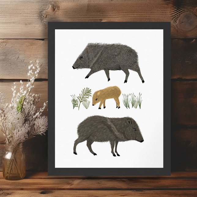 Poster Javelina Family Portrait Desert Animals (Javelina Family Portrait Desert Animals Poster Wall Art Illustration)