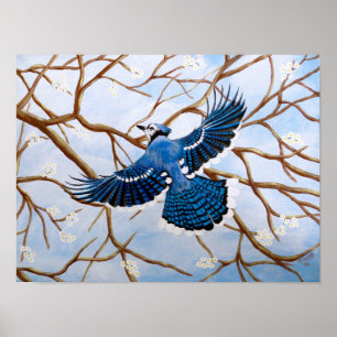 Pôster Jay azul crescente