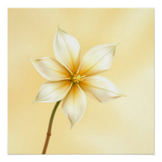 Pôster jazmine flower