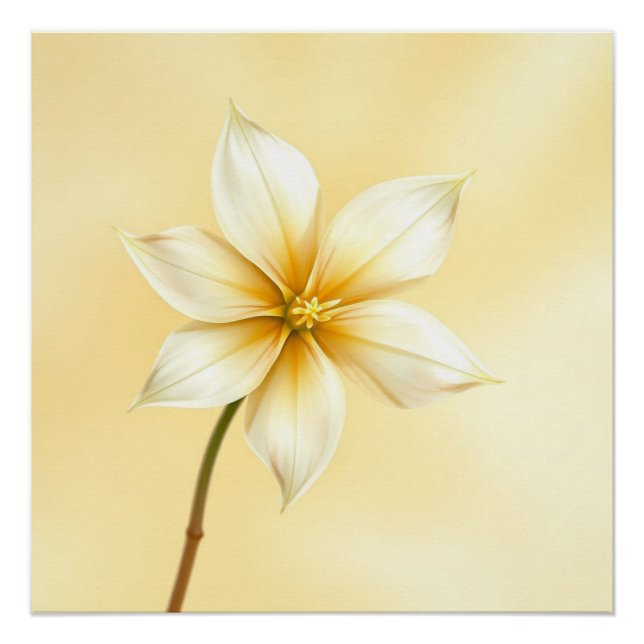 Pôster jazmine flower (Frente)
