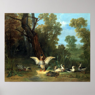 Poster Jean-Baptiste Oudry Ducks Descansando em Sunshine