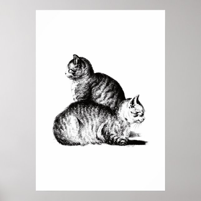 Poster Jean Bernard's two cats combination (Frente)