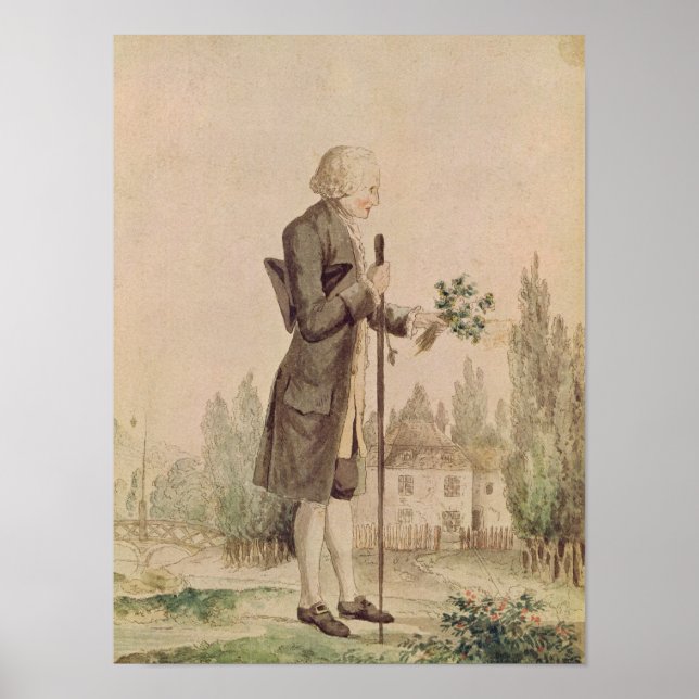 Pôster Jean-Jacques Rousseau Coleta Herbos (Frente)