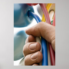 Poster Jeff Koons escultura "Buquê de Tulips" em Paris