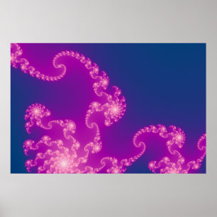 Pôster Jellyfish Wonder