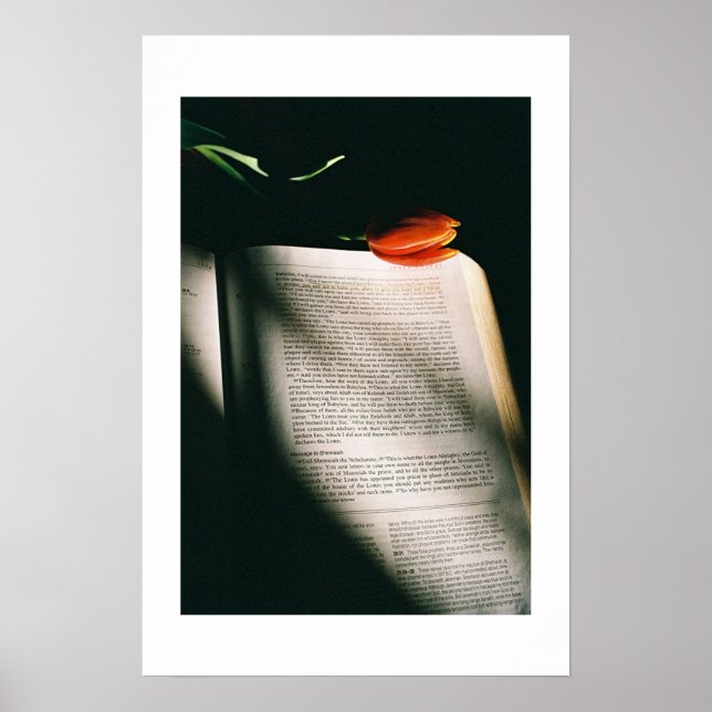 Pôster Jeremiah (Frente)