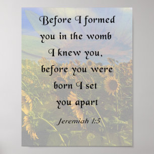 Poster Jeremiah 1:5, Bíblia Inspiracional Verso