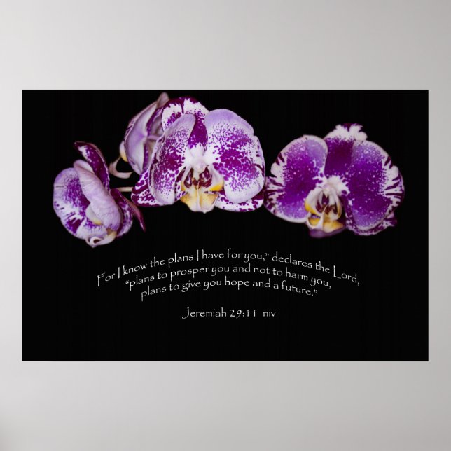 Poster Jeremiah 29:11 (Frente)