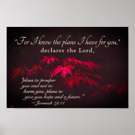 Poster Jeremiah 29:11 Porque eu sei os planos que tenho p