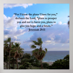 POSTER JEREMIAH 29:11 VERSO INSPIRATIVO