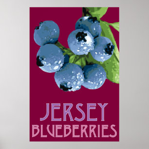 Pôster Jersey_Blueberries