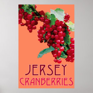 Pôster Jersey_Cranberries