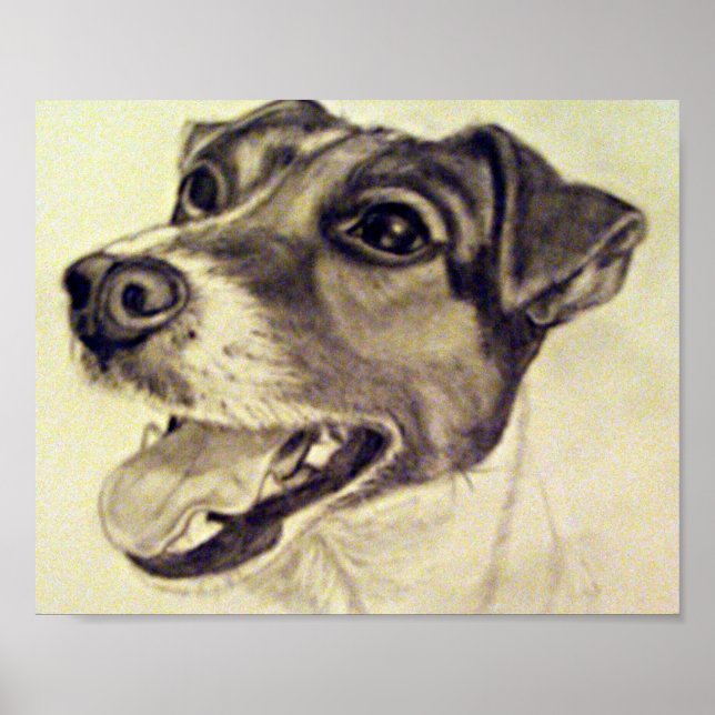 Pôster Jester, o Jack Russell Terrier (Frente)