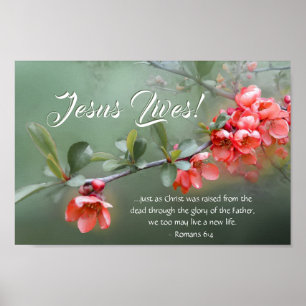 Poster Jesus Vive Flores de Primavera Bíblia Versa Pásc