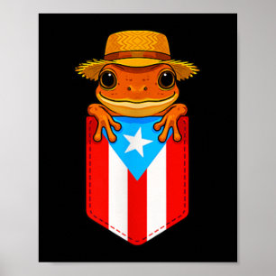 Poster Jibaro Coqui Sapo Porto Rico Bandeira Boricua Cket