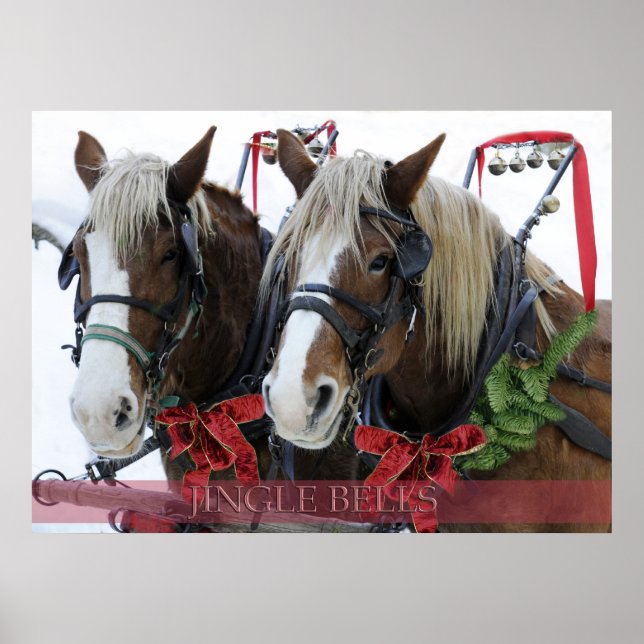 Pôster Jingle Bells (Frente)