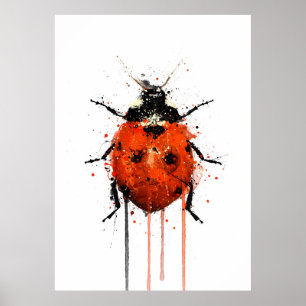 Poster Joaninha