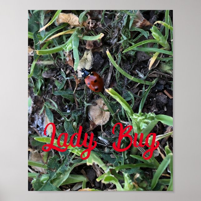 Poster Joaninha (Frente)