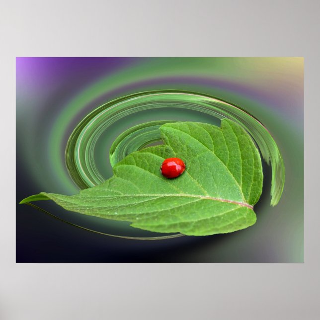 Poster joaninha (Frente)