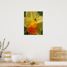 Poster Joaninha em Flor de Narciso Amarela Floral
