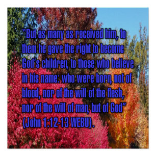 Pôster João 1:12-13 WEBU