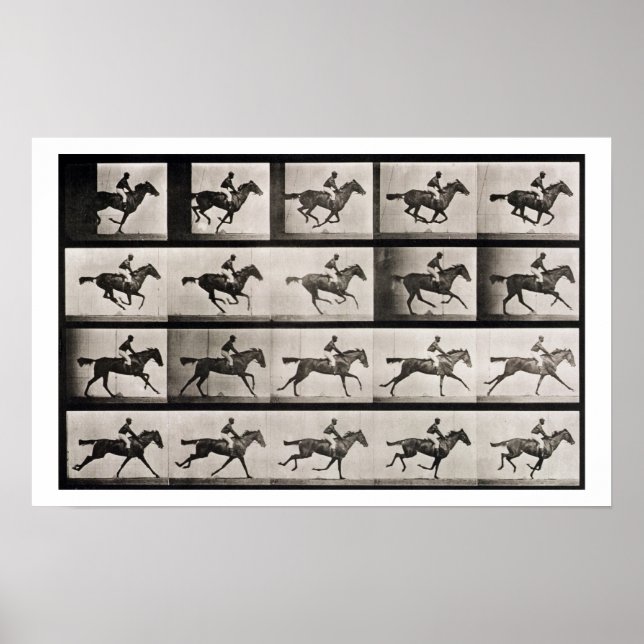 Pôster Jockey em um cavalo galopante, prato 627 de Anima (Frente)