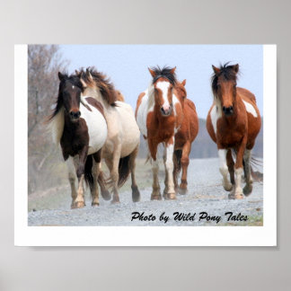 Pôster Jogadores felizes