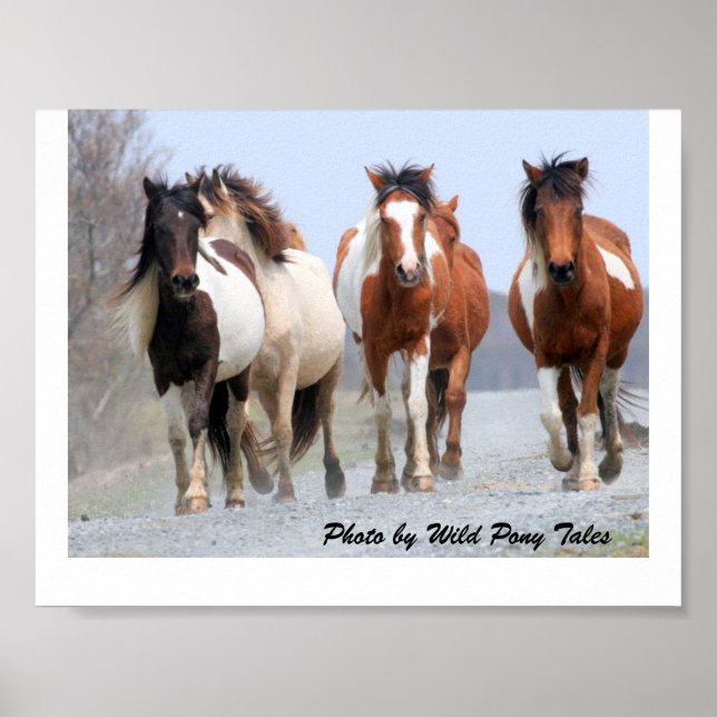 Pôster Jogadores felizes (Frente)