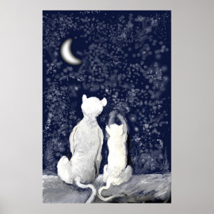 Poster "Jogando com estrelas "