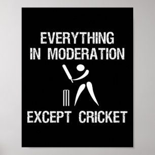 Poster Jogo de Críquete - Moderação Divertida - Jogador
