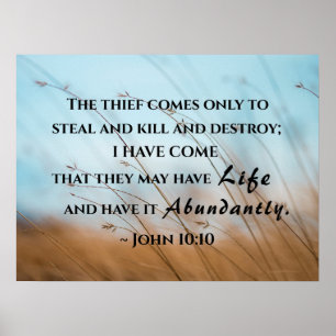 Poster John 10:10 Eu vim que eles podem ter vida
