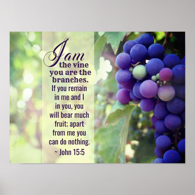 Poster John 15:5 Eu sou a Vinha Você é a Bíblia dos Ramai (Frente)