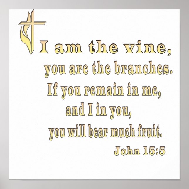 Pôster John 15:5 roupa e muito mais (Frente)