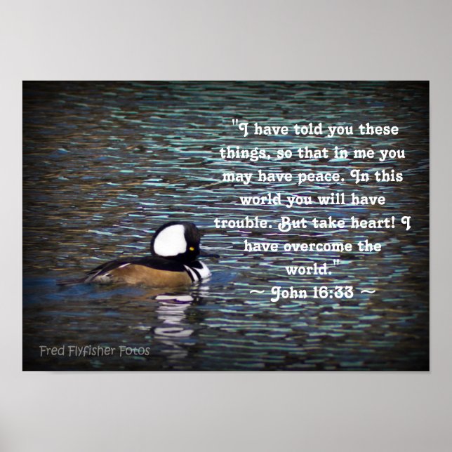 Poster John 16:33 (Frente)
