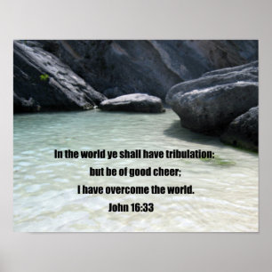 Pôster John 16:33