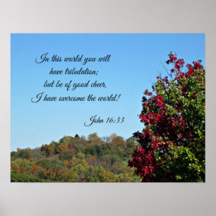 Pôster John 16:33 In the world you will have...