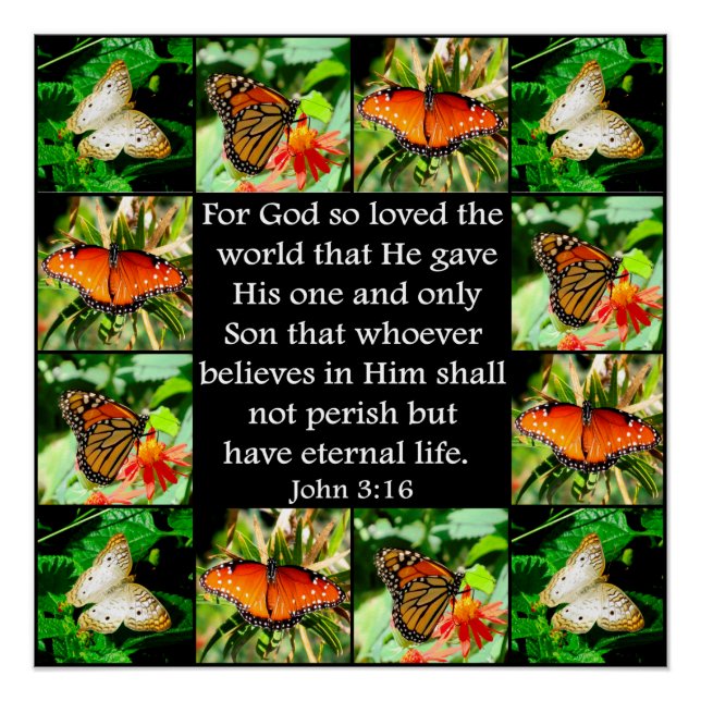 PÔSTER JOHN 3:16 DESIGN DE BORRACHA (Frente)