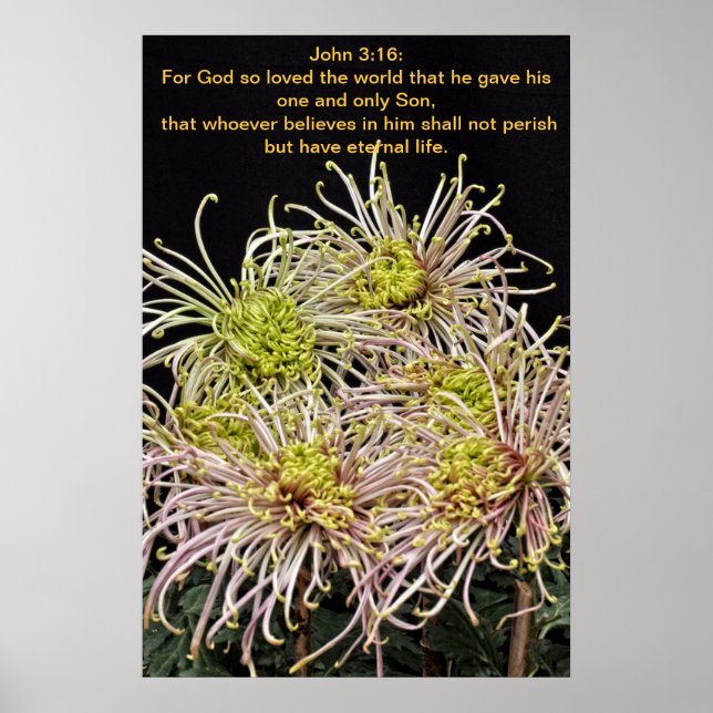 Pôster John 3:16 Por Deus tanto amou o mundo (Frente)