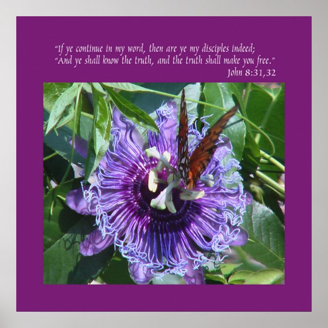 Pôster John 8 31:32 Impressão/Poster (Frente)