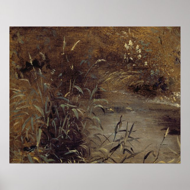 Pôster John Constable | Rushes por Piscina, c.1821 (óleo  (Frente)