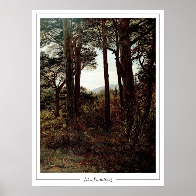 Poster John Everett Millais Zedign Cartaz de Arte #286 (Frente)