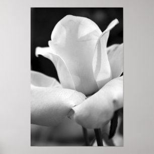 Pôster John F. Kennedy aumentou